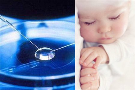 专家